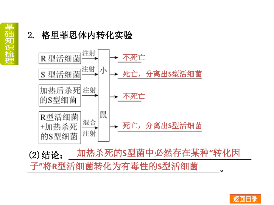 dna是主要的遗传物质半成品幻灯片_第4页