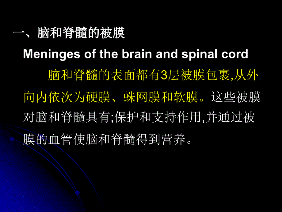 脑脊髓被膜脑血管脑脊液循环课件_第2页