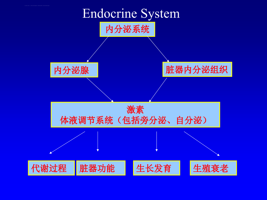 内分泌总论2008.5(口腔)课件_第2页