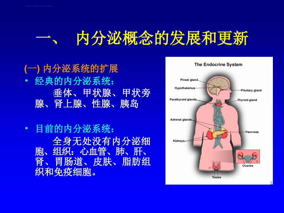 内分泌总论2008.5(口腔)课件_第3页