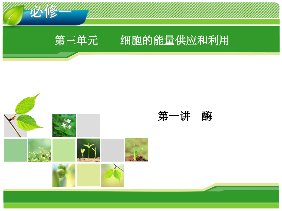 2014届高考生物一轮指导幻灯片3.1酶-必修1_第1页