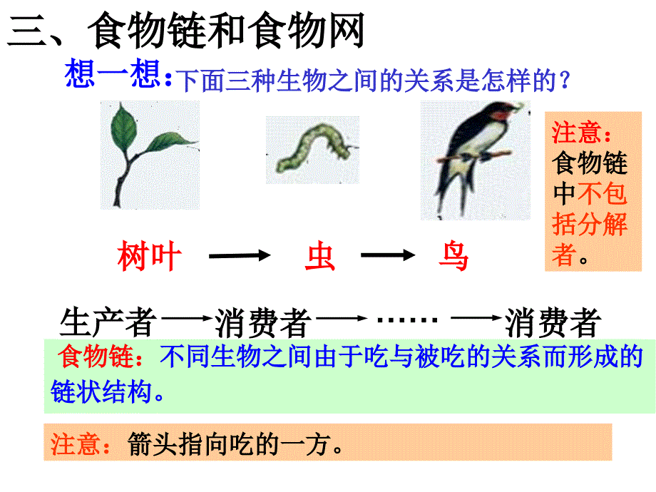 okfaaa第二节++生物与环境组成生态系统++第二课时（14ppt）.ppt_第4页