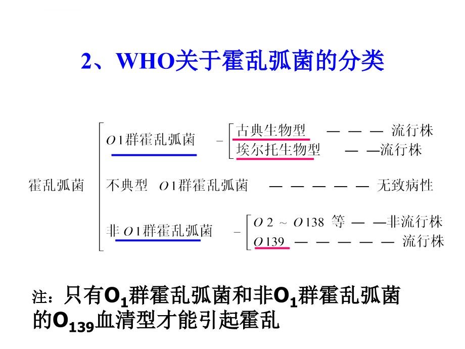 宠物源人兽共患病——霍乱讲义课件_第4页