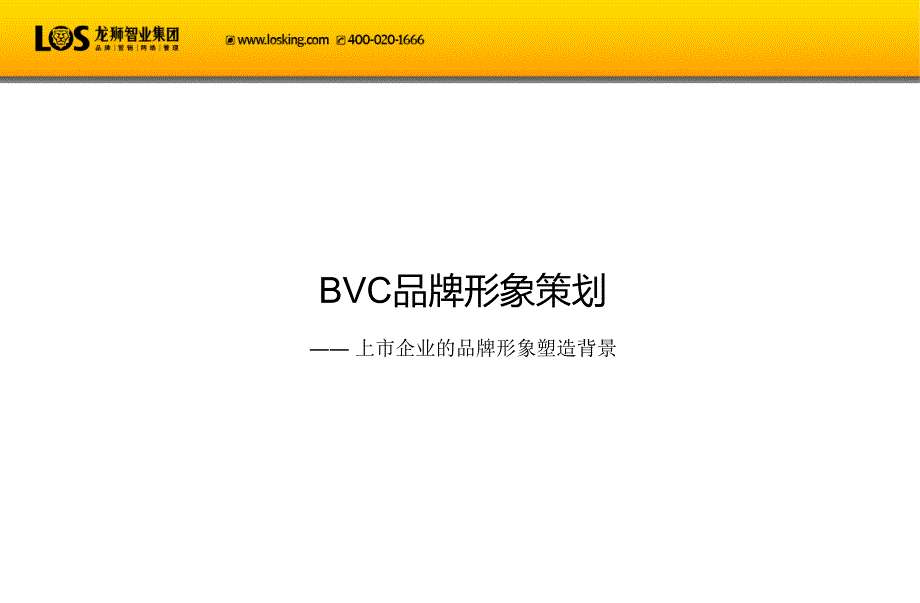bvc――上市企业的品牌形象塑造背景_第3页