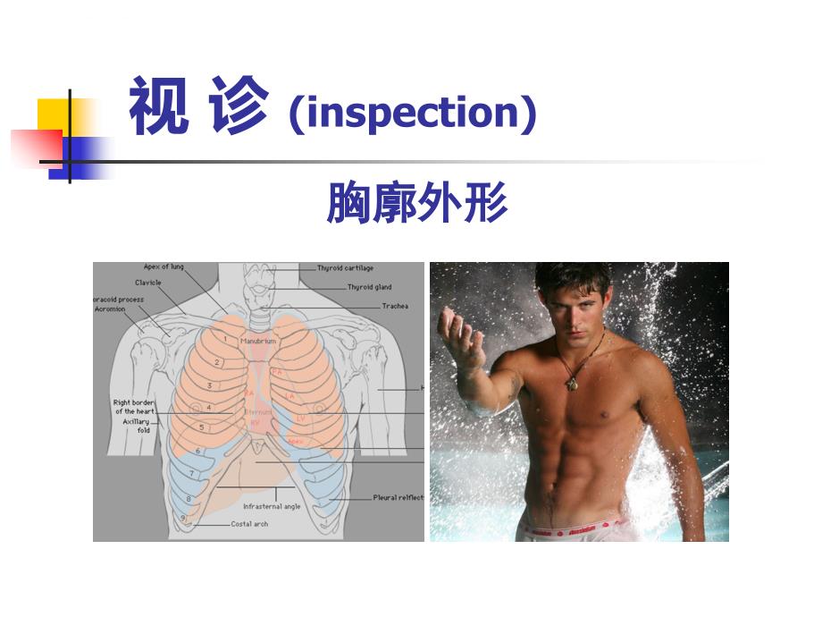 肺部阳性体征课件_第2页