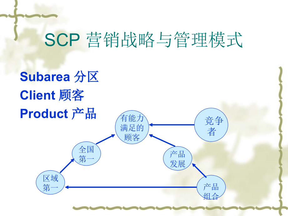 scp营销战略与管理模式ppt课件_第4页