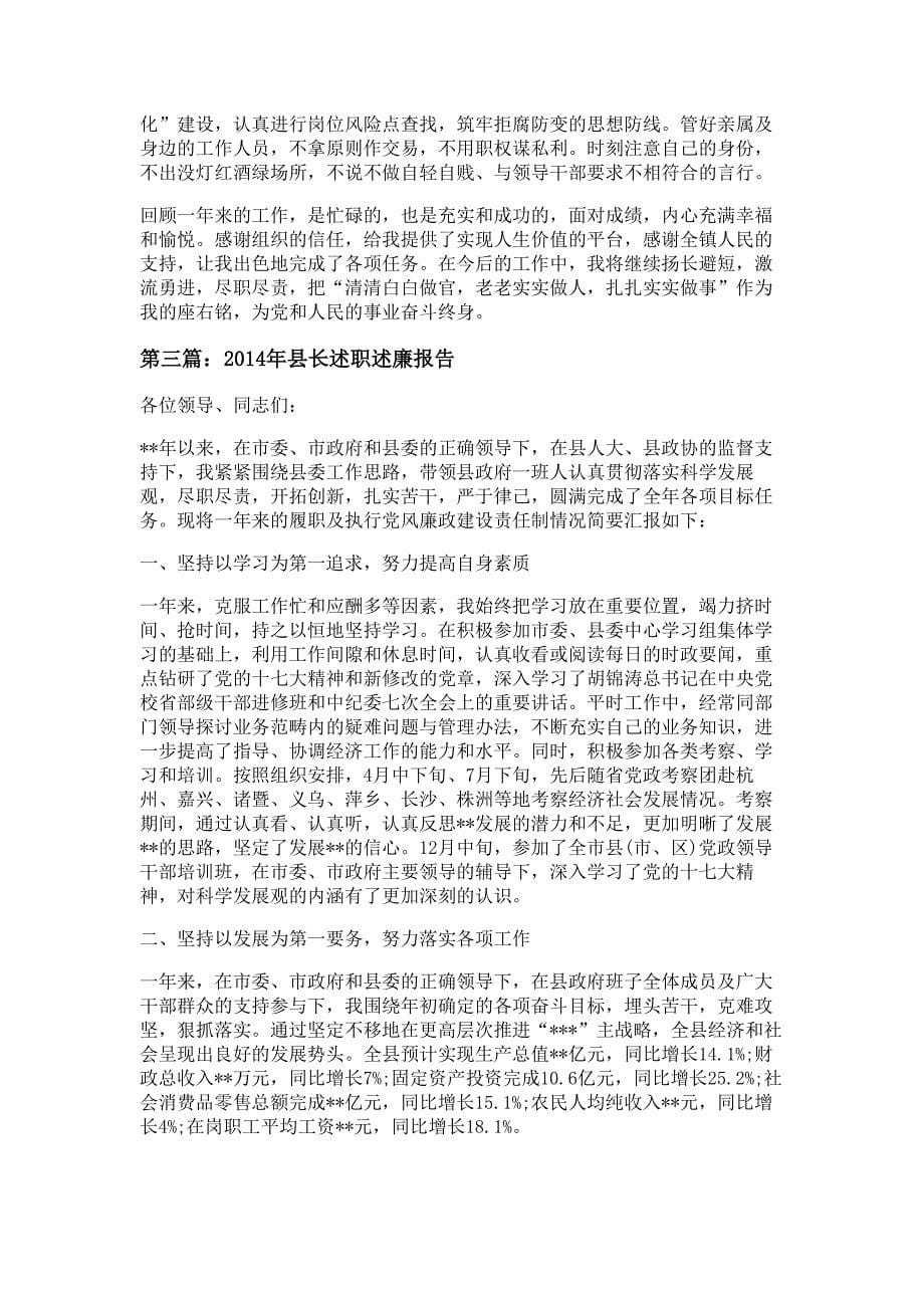 述廉报告材料_第5页