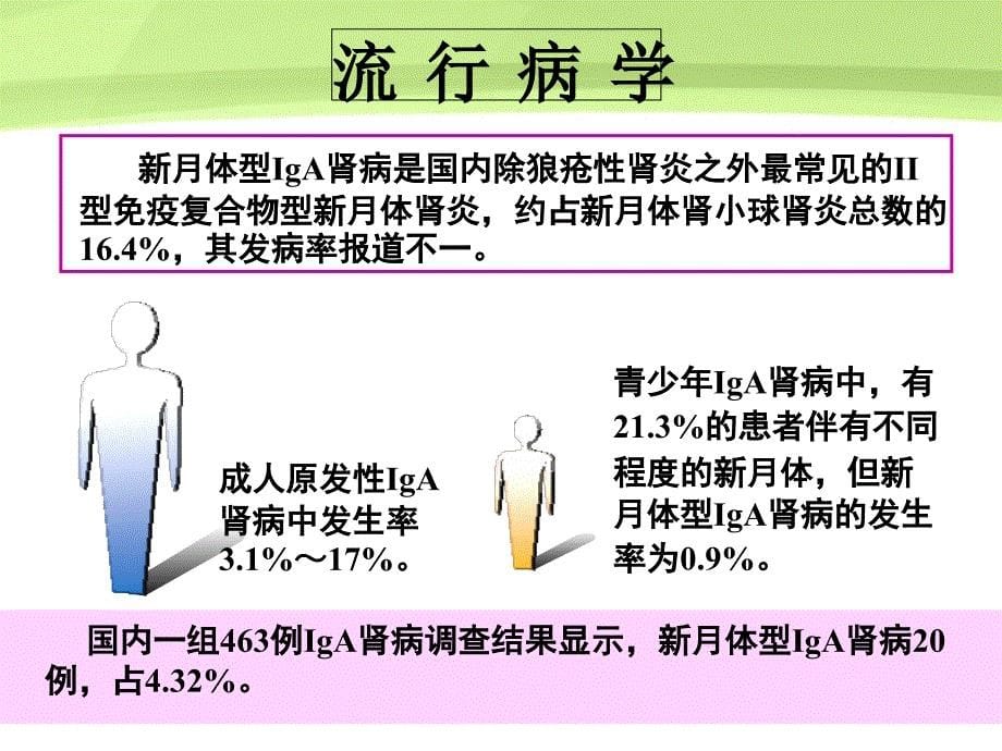 新月体iga肾病治疗进展11-22课件_第5页