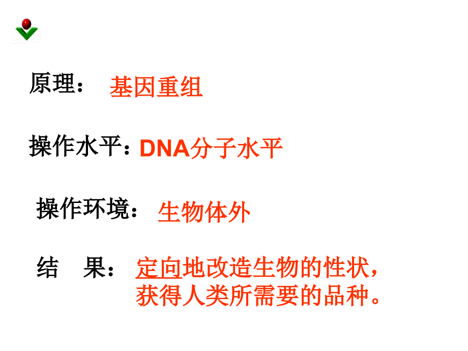 6.2《基因工程及其应用》+课件+曾燕红_第4页