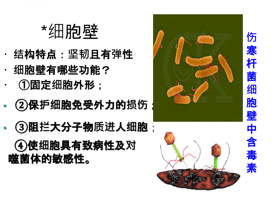 生物：2.1《微生物的实验室培养》幻灯片(新人教版选修1)_第4页