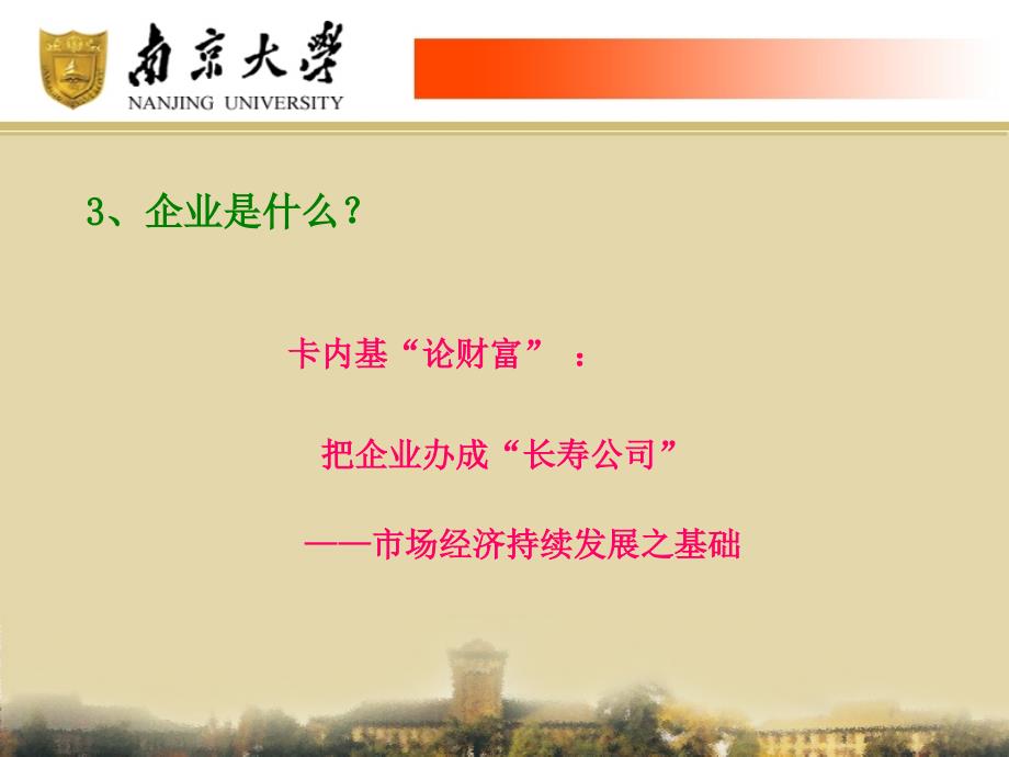 ppt-公司治理与企业价值管理--财务战略管理理论探讨(ppt46)-财务分析_第4页