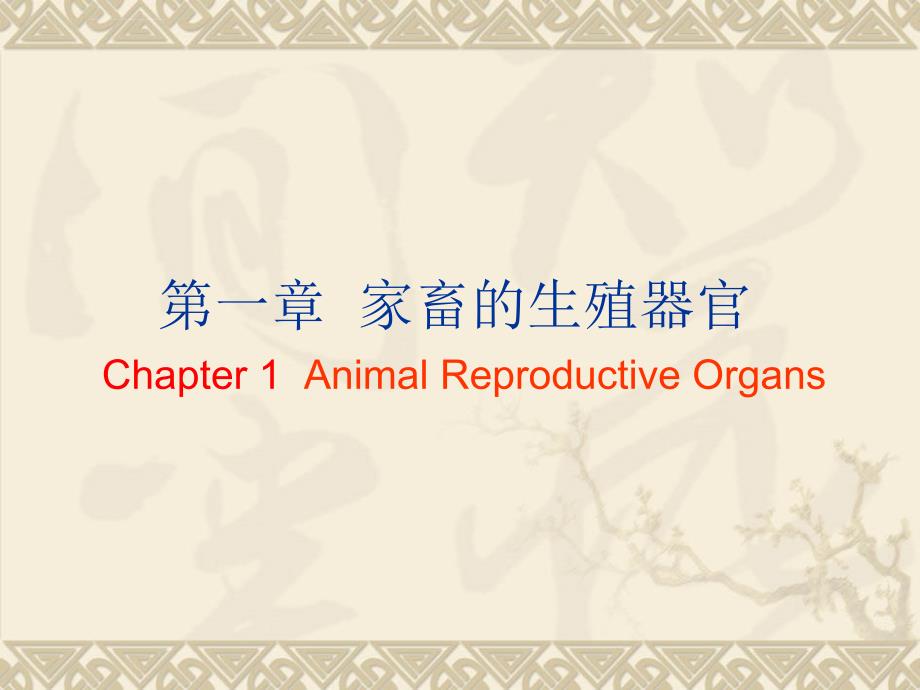 家畜繁殖学第一章课件_第2页