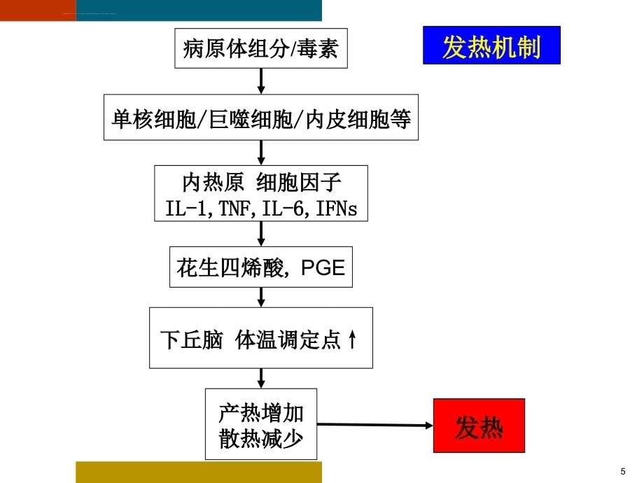 发热与感染性疾病课件_第5页