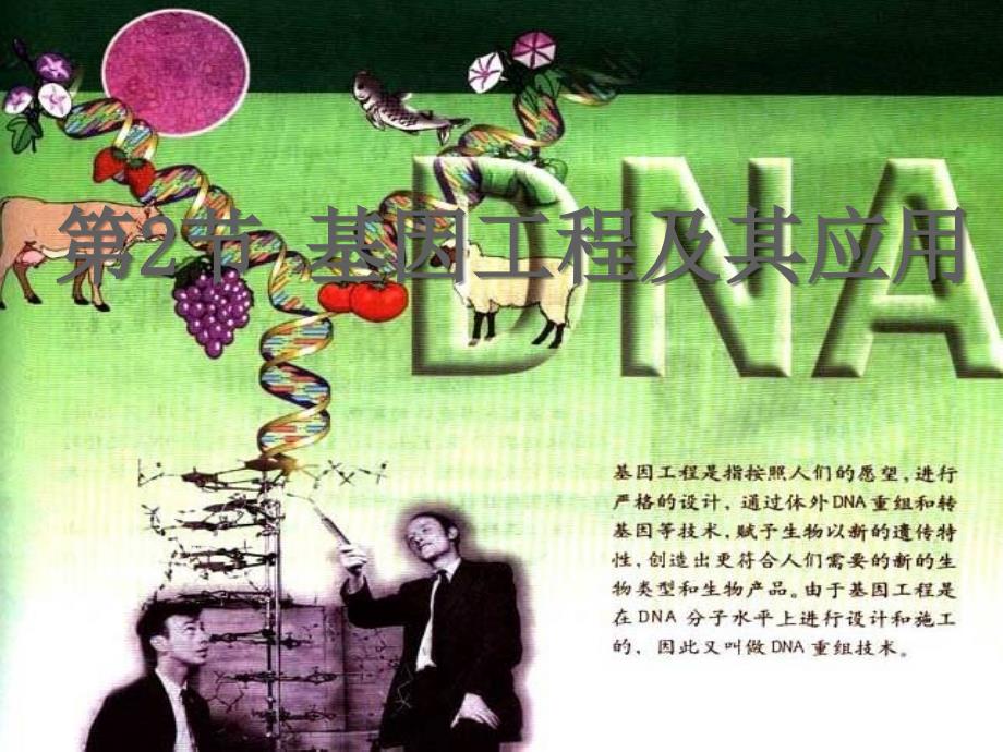 高中生物《第六章-第二节-基因工程及其应用》课件1-新人教版必修2_第1页