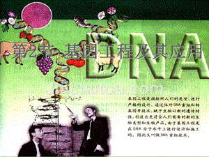 高中生物《第六章-第二节-基因工程及其应用》课件1-新人教版必修2