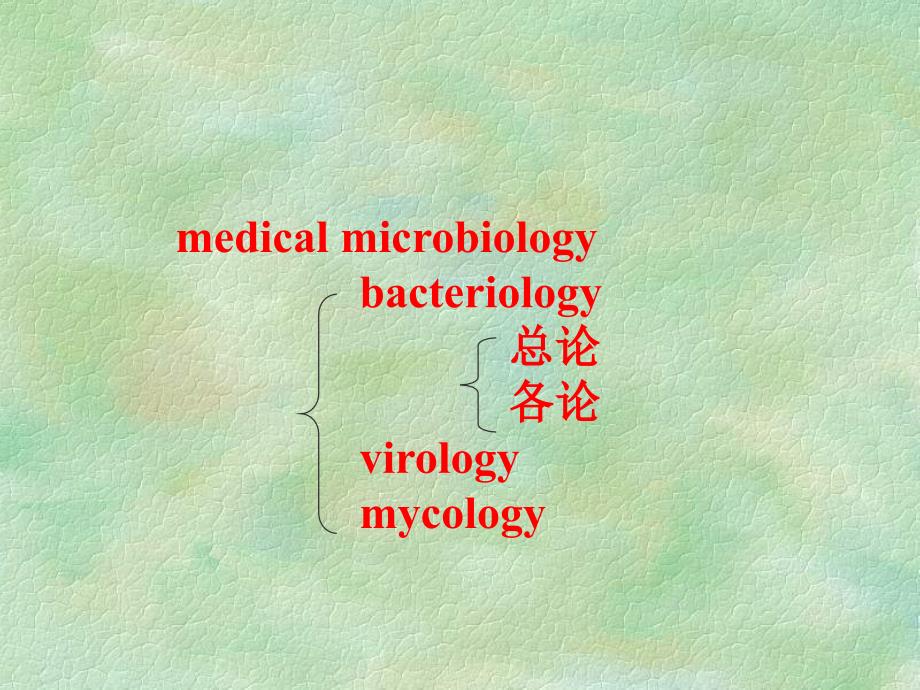 2012-09级临本细菌形态与基本结构课件_第1页