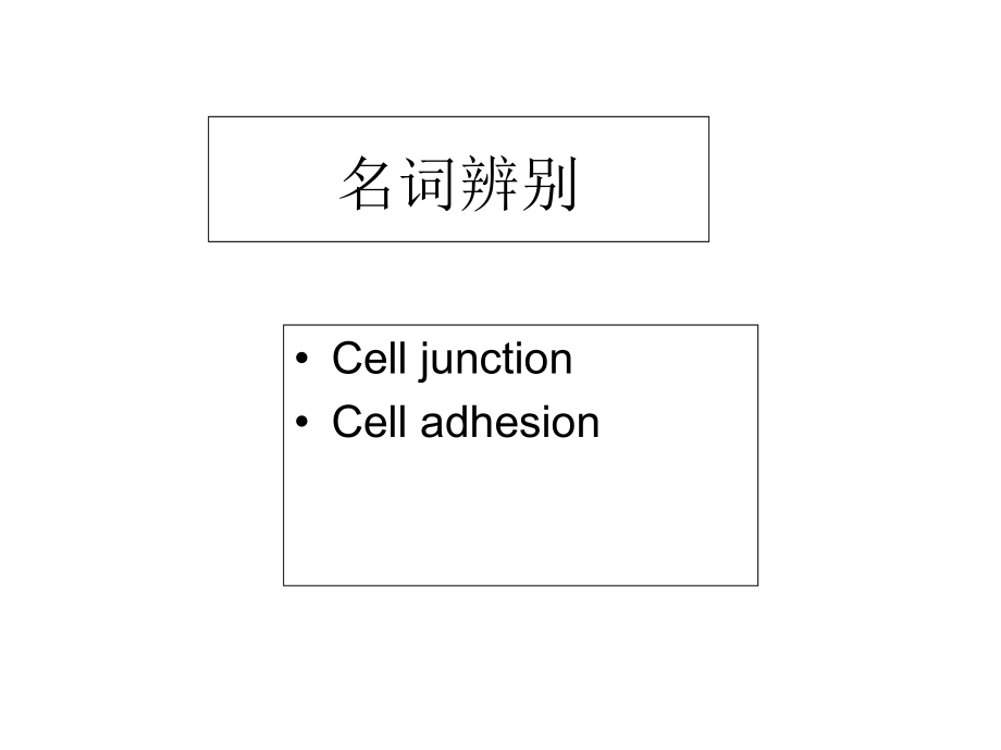 细胞生物学课程第10章(细胞连接和细胞黏附)课件_第3页