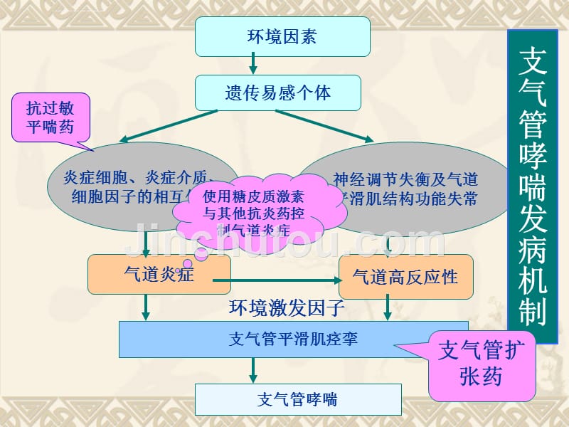 作用于呼吸系统药课件_第4页