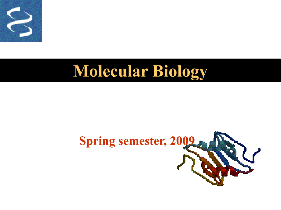 分子生物学幻灯片-绪论_第1页