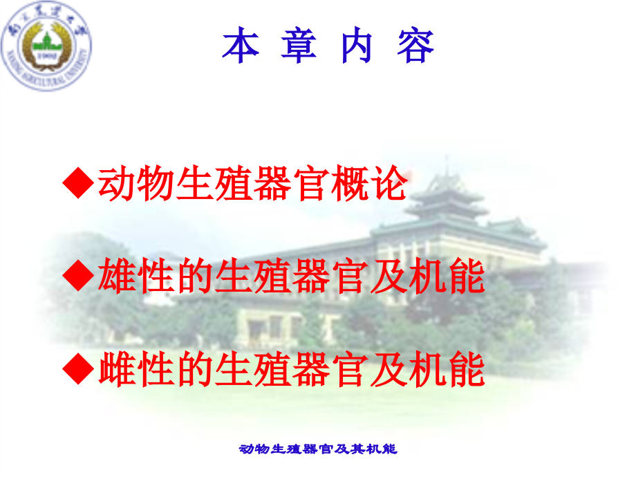 南京农业大学动物繁殖学幻灯片ch01_第2页