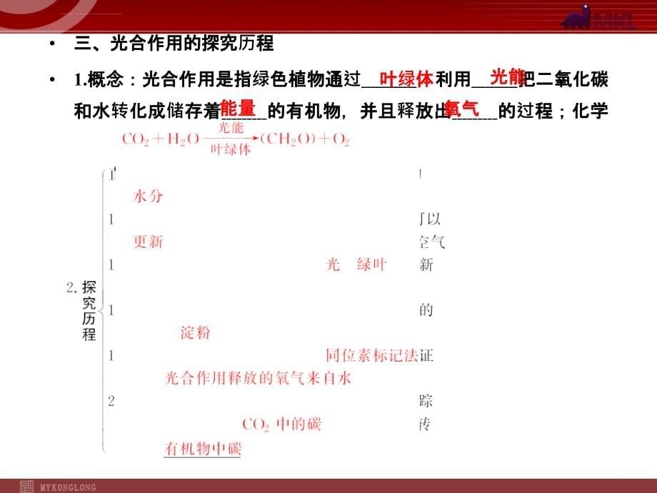 2018届新课标高考生物总复习配套幻灯片：必修1-5-3_第5页