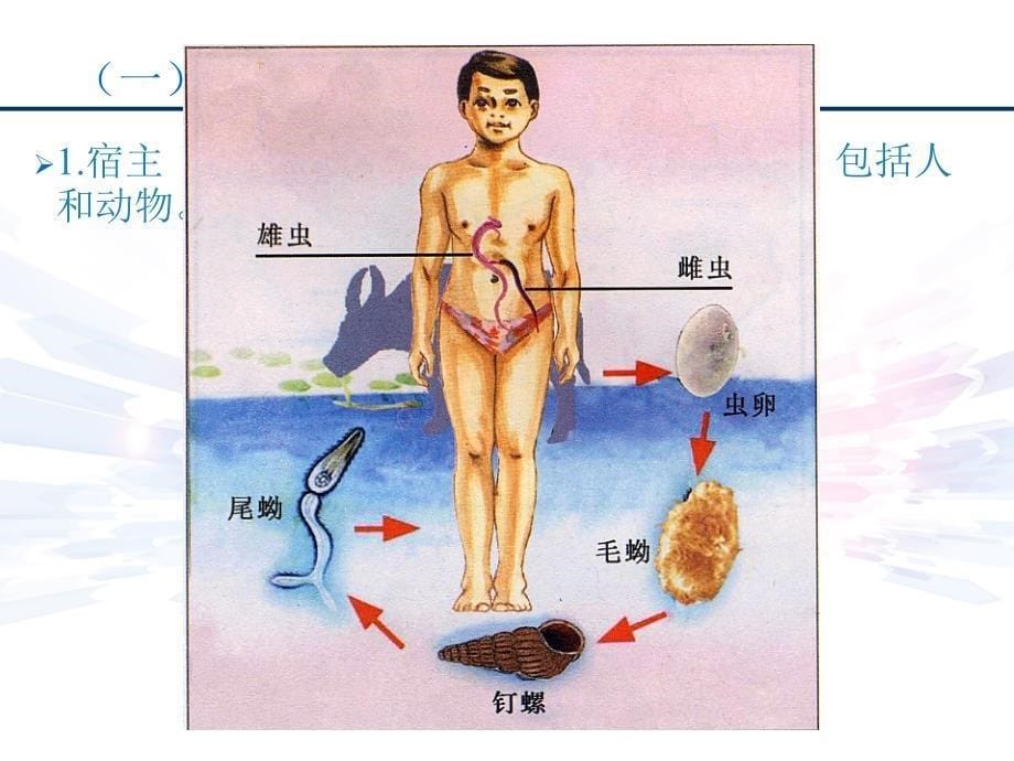 传染病护理绪论课件_第5页