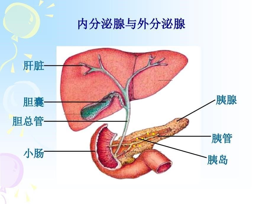 七下第五章幻灯片_第5页