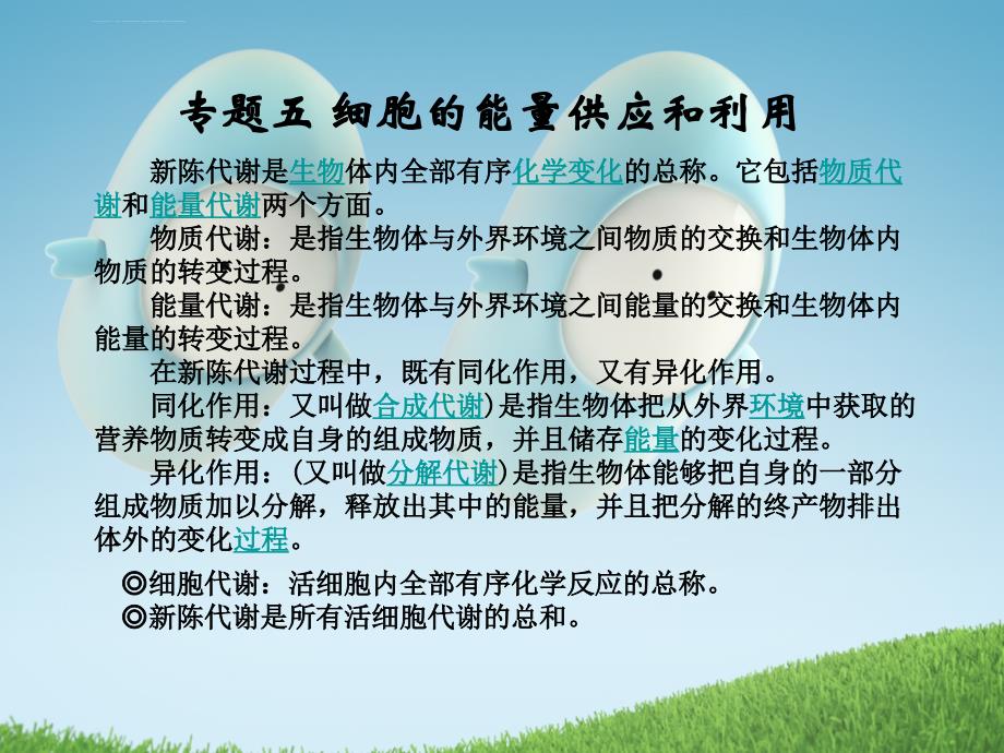 2011届高考生物一轮复习幻灯片：专题五-细胞的能量供应和利用(必修1)_第1页