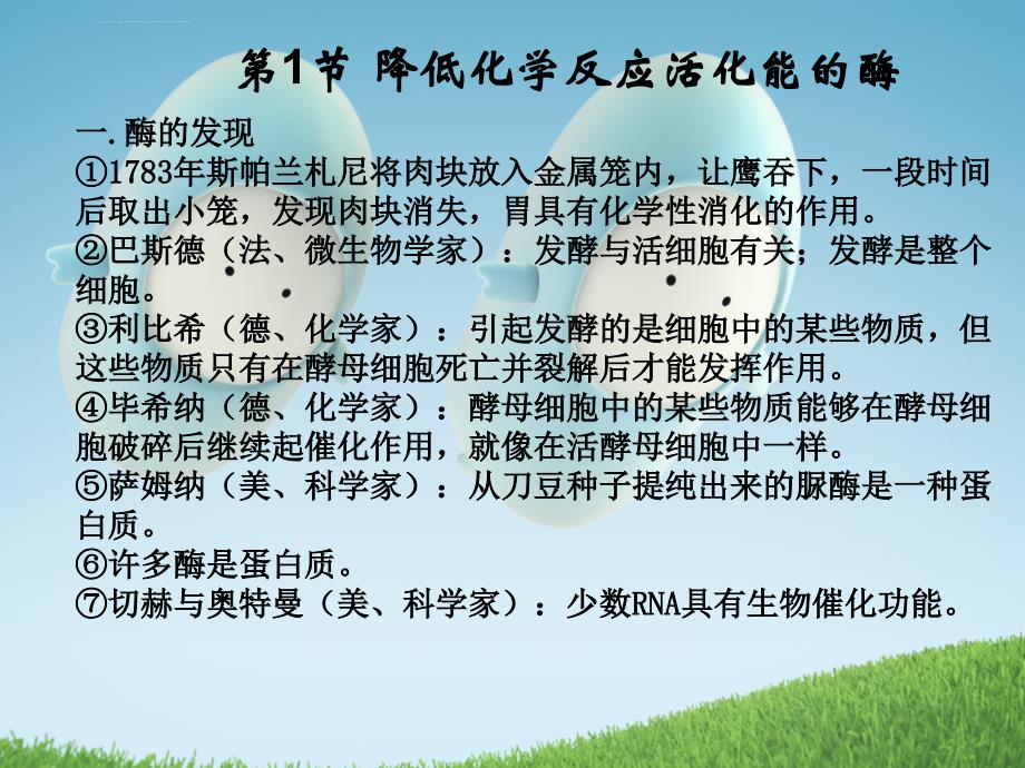 2011届高考生物一轮复习幻灯片：专题五-细胞的能量供应和利用(必修1)_第3页