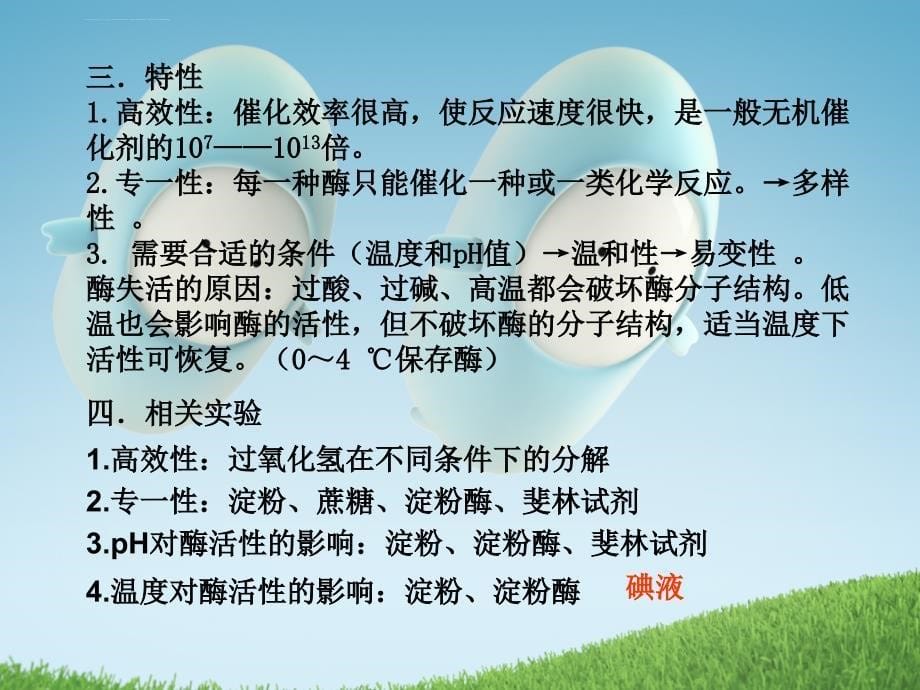 2011届高考生物一轮复习幻灯片：专题五-细胞的能量供应和利用(必修1)_第5页