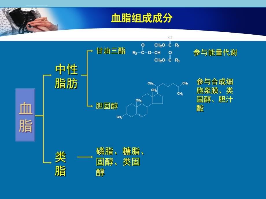 血脂异常的危害及治疗方法课件_第5页