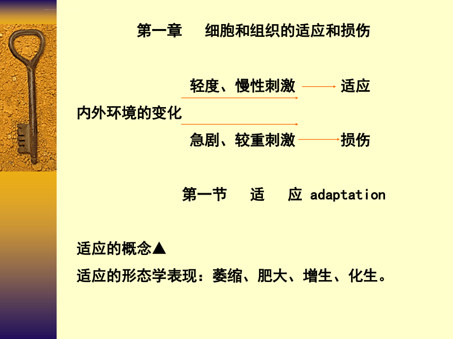 病理学第一、二章课件_第4页