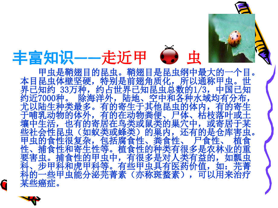 3草虫的村落课件.ppt_第3页