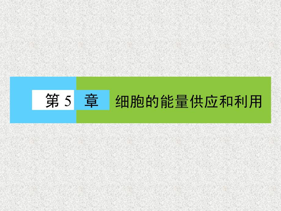 2014-2015学年生物-第5章-细胞的能量供应和利用章末高效整合幻灯片-人教版必修1_第1页