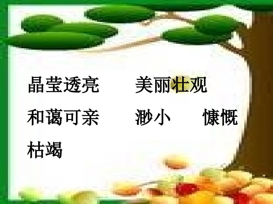 axlaaa只有一个地球ppt课件（人教语文六上）.ppt_第3页