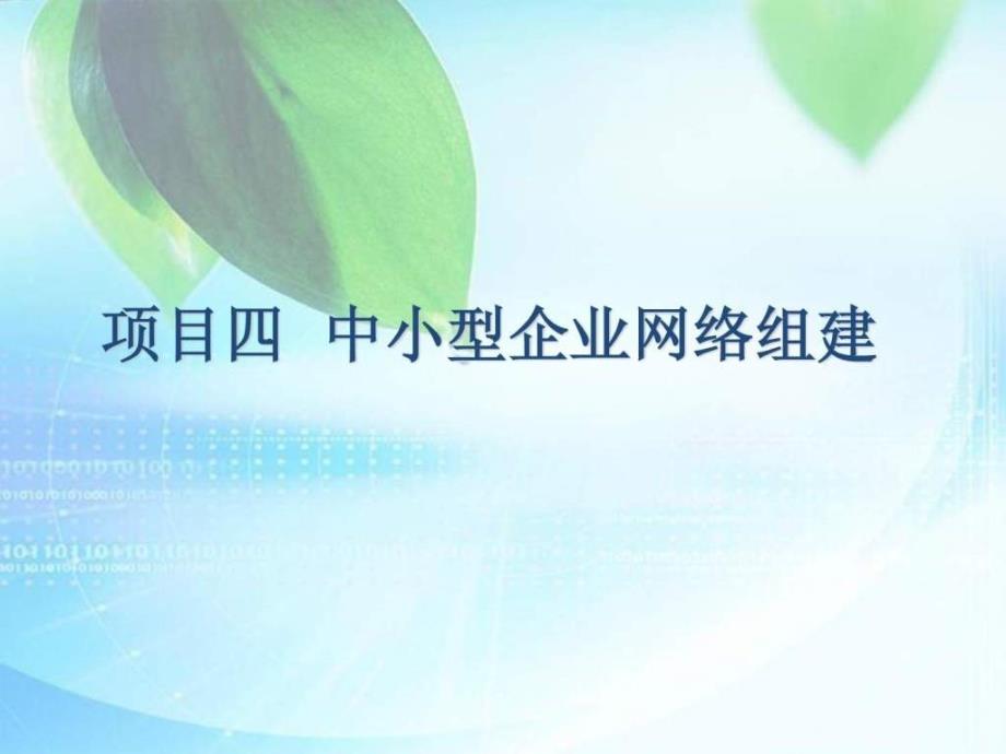 4局域网组建项目实战_项目四 中小型企业网络组建_第2页