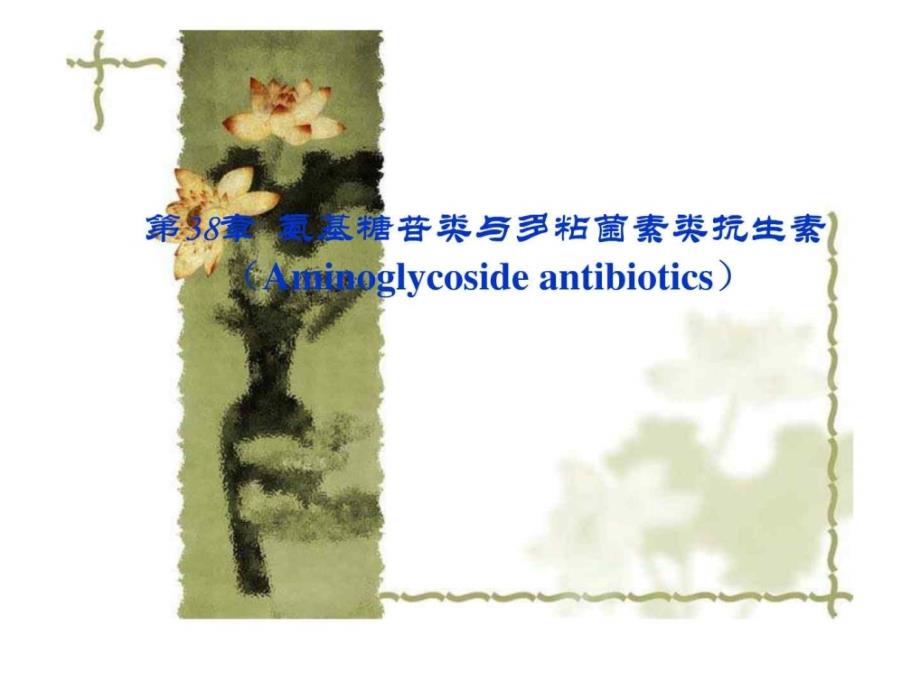 38章 氨基糖苷类与多粘菌素类抗生素_第1页