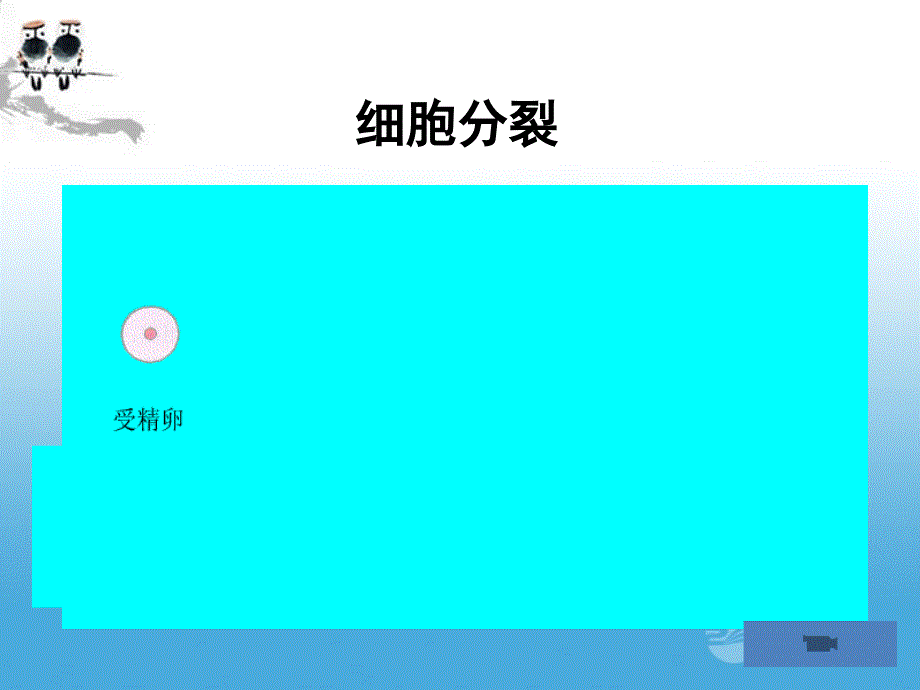 iseaaa七年级生物上册+2.3.1《动物体的结构层次》课件+人教新课标版.ppt新_第2页