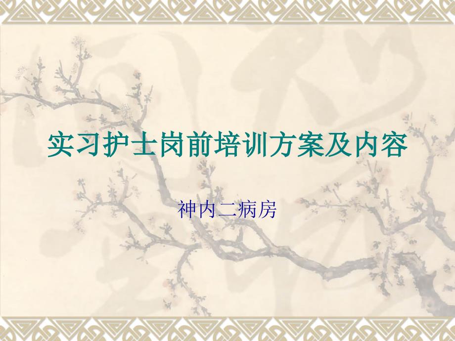 实习护士岗前培训方案及内容课件_第1页