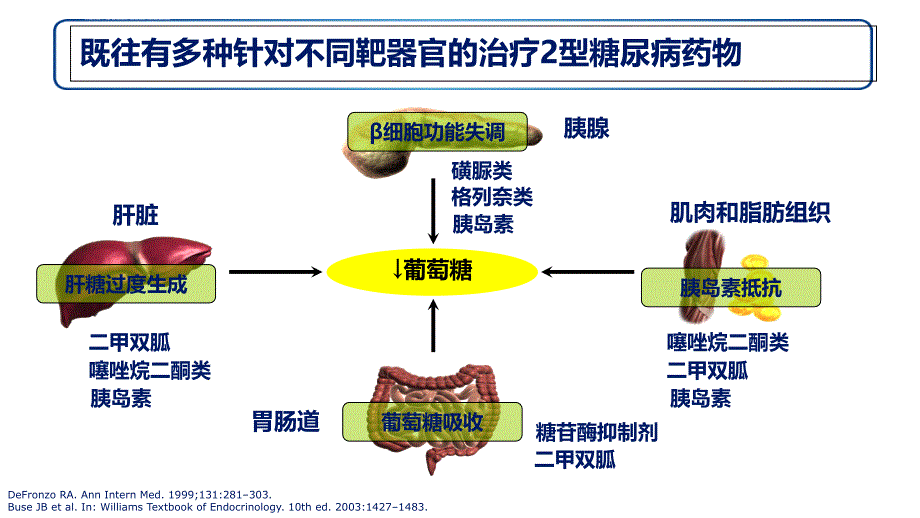 glp-1ra利拉鲁肽治疗2型糖尿病课件_第4页