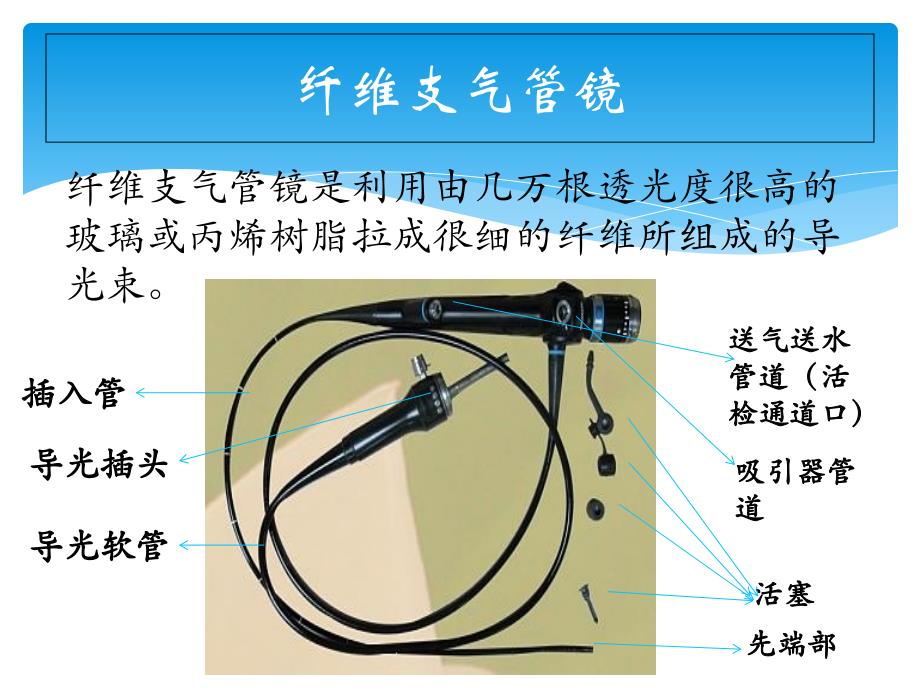 气管镜科入门学习课件_第3页