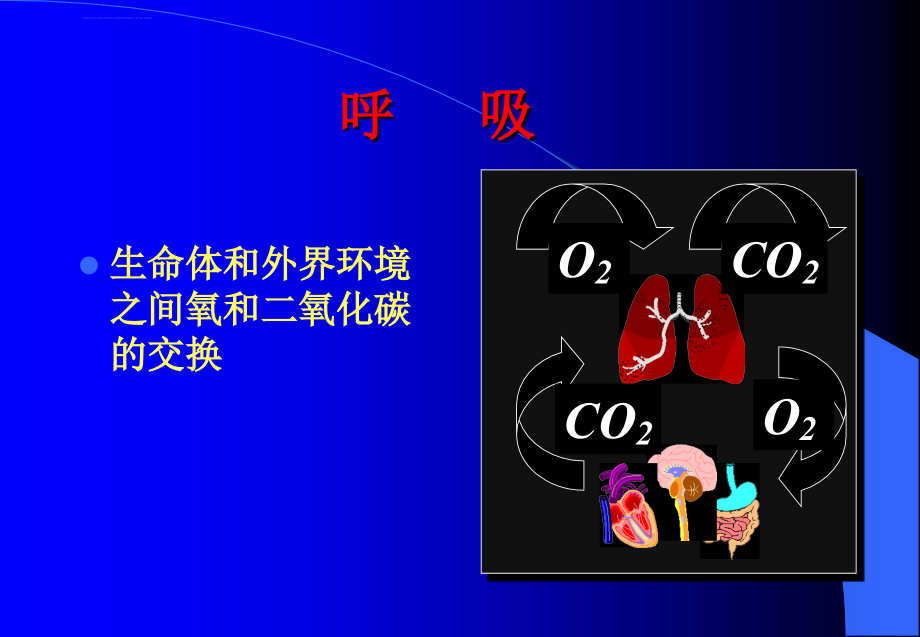 呼吸机基础--完整课件_第4页