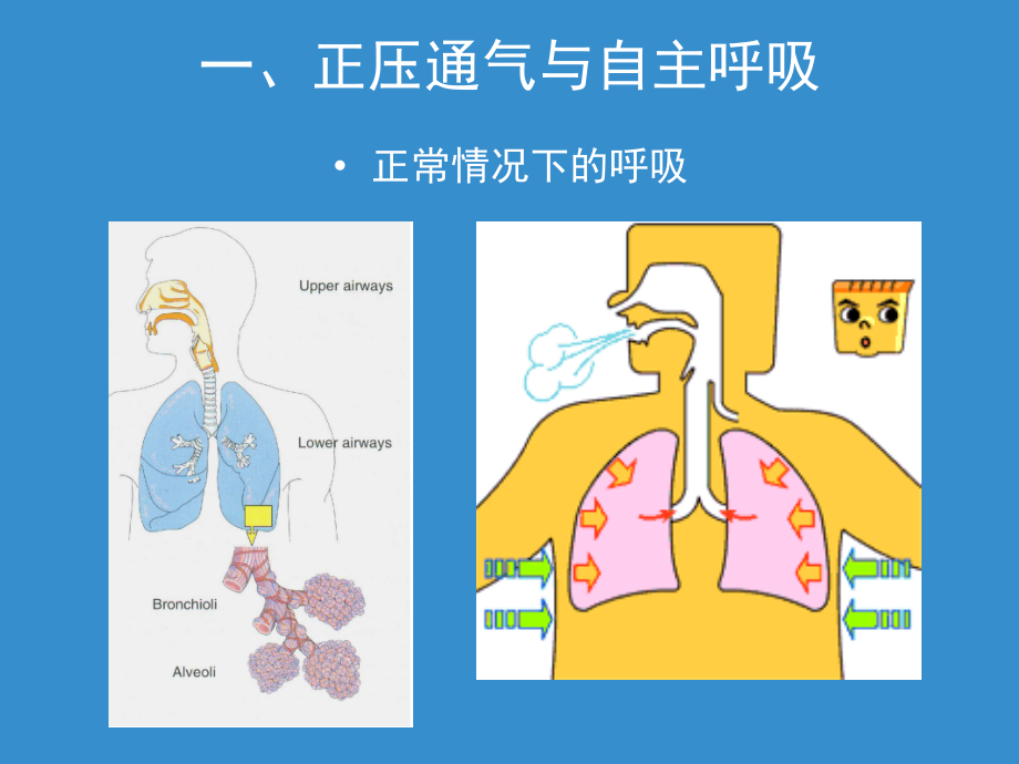 无创正压通气的临课件_第3页