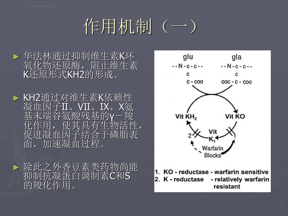 华法林治疗指南浅论课件_第3页