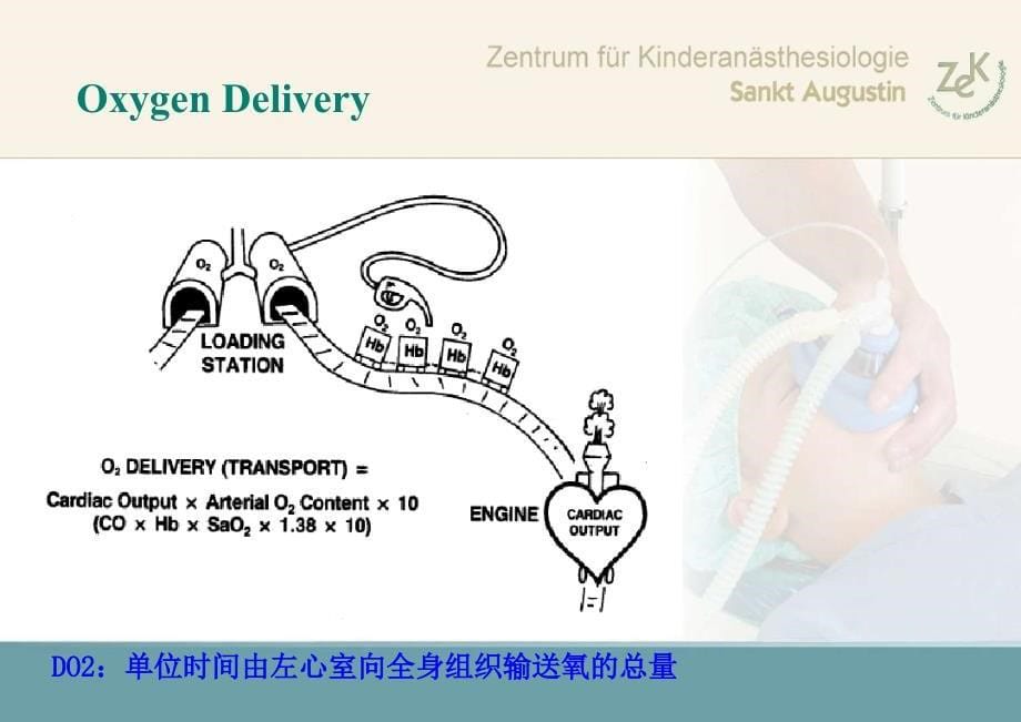 组织灌注的床旁评价的最新进展课件_第5页