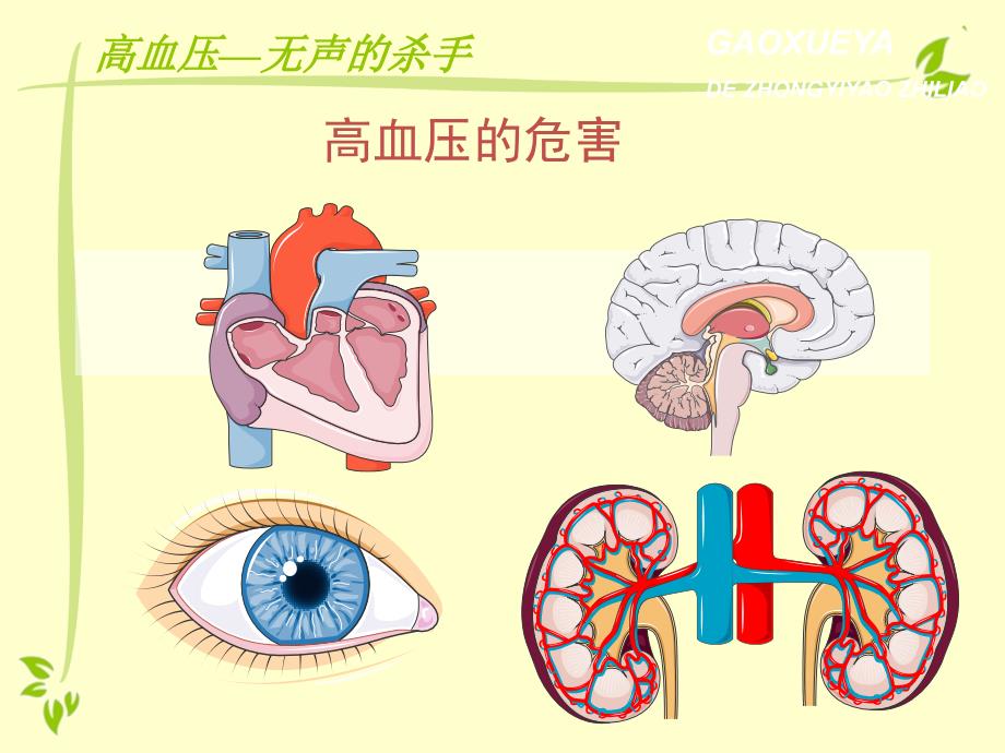 中医预防高血压糖尿病小讲座课件_第4页