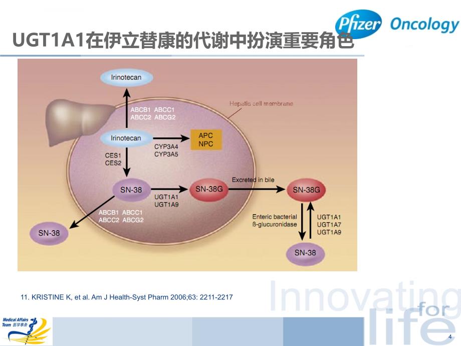 ugt1a1检测指导下的肠癌个体化治疗课件_第4页
