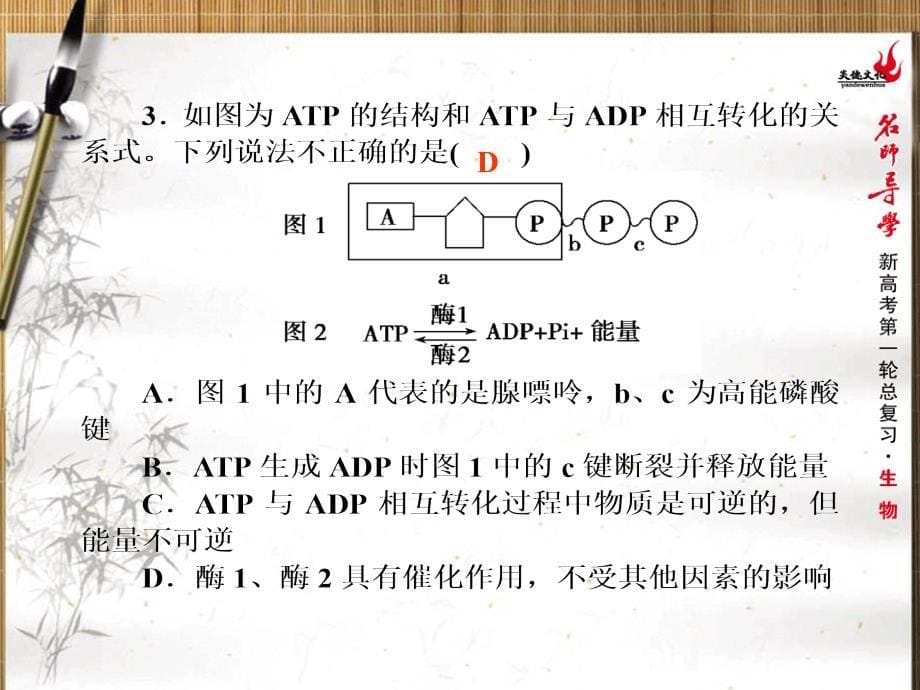 2015高考生物一轮总复习单元同步测试：细胞的能量供应和利用(共46张ppt)课件_第5页