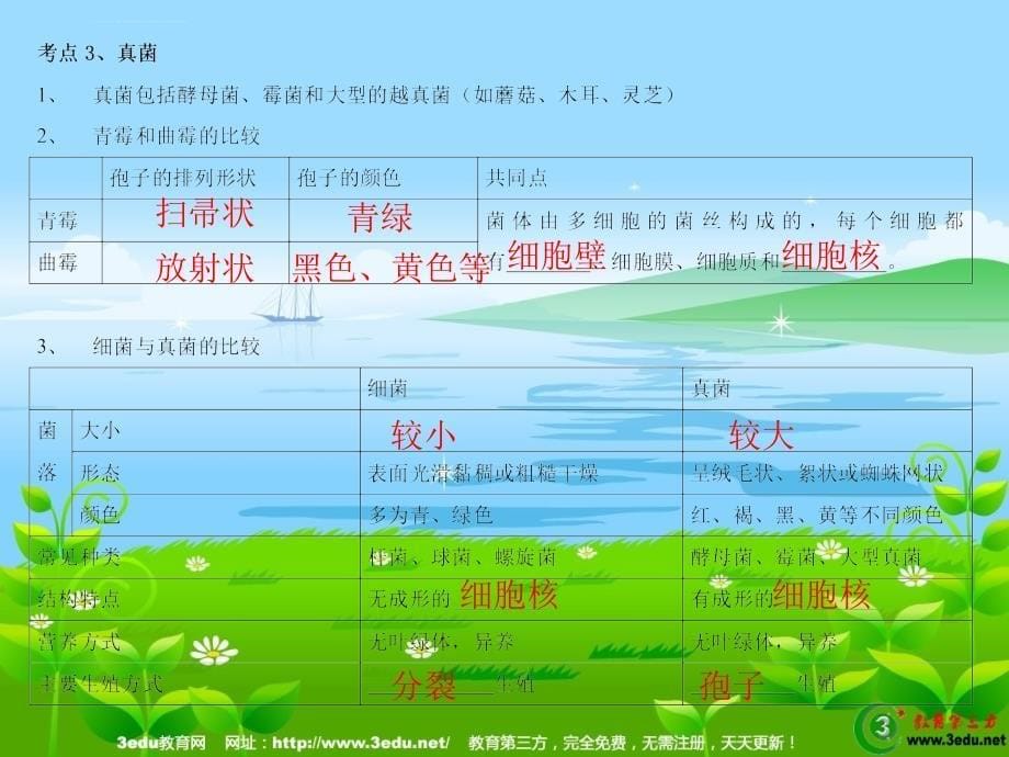 2015届中考生物第一轮复习幻灯片14_第5页