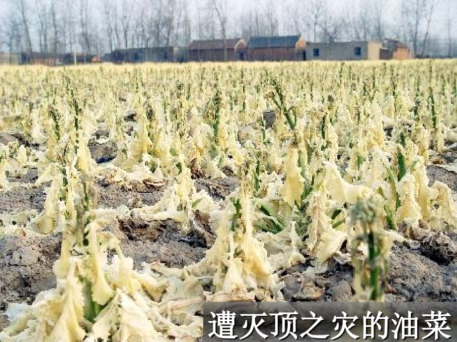 2012高中地理-第一章第三节人类活动对区域地理环境的影响精品幻灯片-中图版必修3_第1页